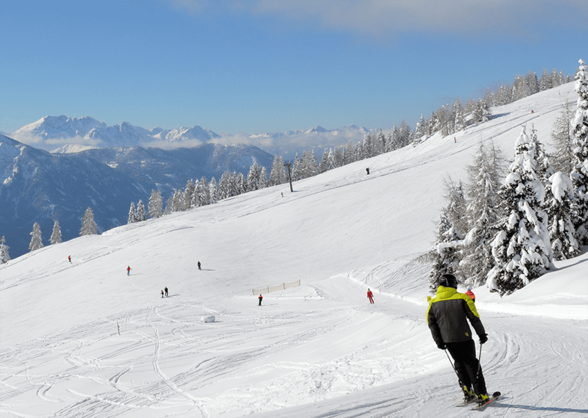 neu2-1-1_562